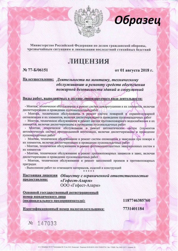 Образец лицензии МЧС РФ